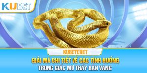 Mơ thấy rắn vàng và chi tiết các tình huống cụ thể