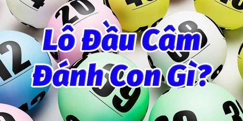 Đầu lô câm được khái quát ra sao